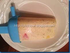 Chitra Pal Kulfi (5)