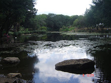 laguna san fransisco de caldas