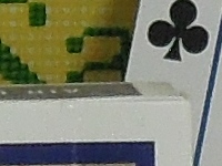 Nikon P300 Sample Image