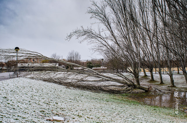 Logroño nevado enero 2021