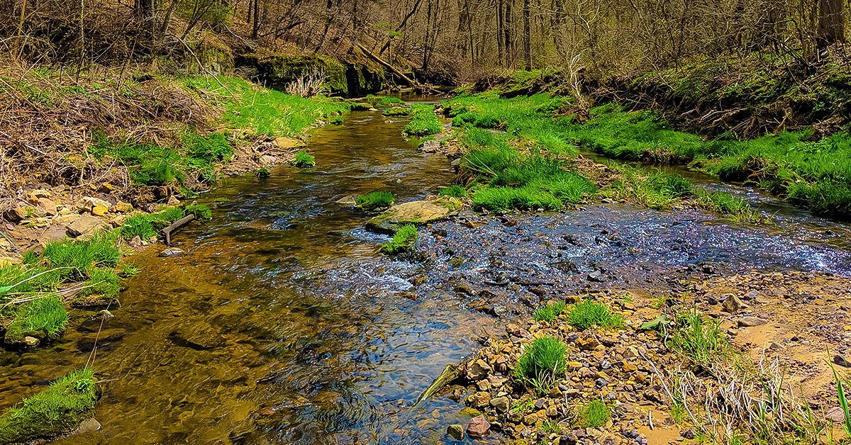 A hiking trail fords a wide section of Honey Creek