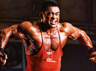 Male Bodybuilder Photo Gallery 5 - Almost Perfect Men