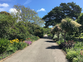 Ventnor Botanic Garden - Isle of Wight