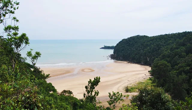 Parque Nacional de Bako, Borneo