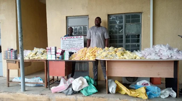 NDLEA detains physically challenged man travelling to Italy, several others for drug trafficking
