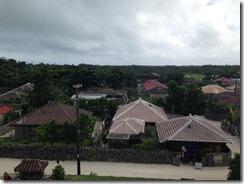 IMG_7208