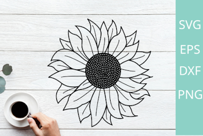 outline sunflower clipart