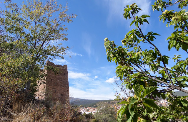 Torre Alcázar. Jérez del Marquesado, Senderismo