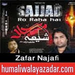 http://audionohay.blogspot.com/2014/10/zafar-najafi-nohay-2015.html