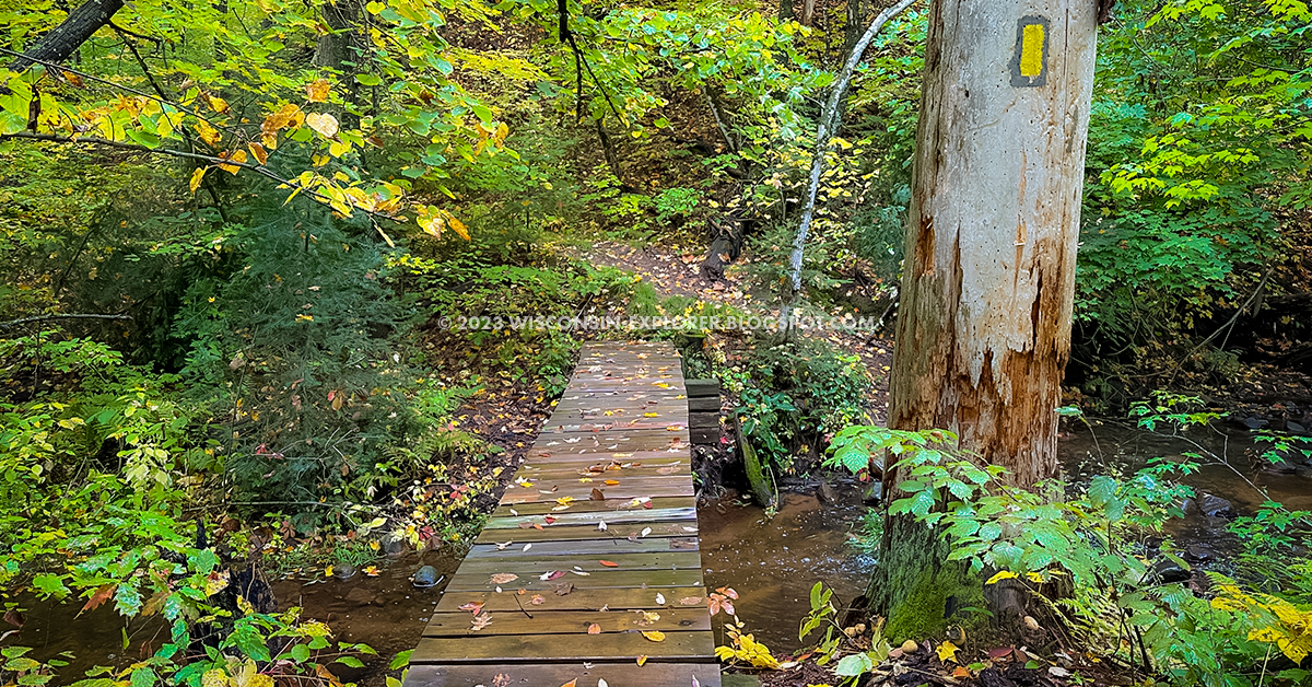 narrow wood pedestrian bridge over stream in autumn forest