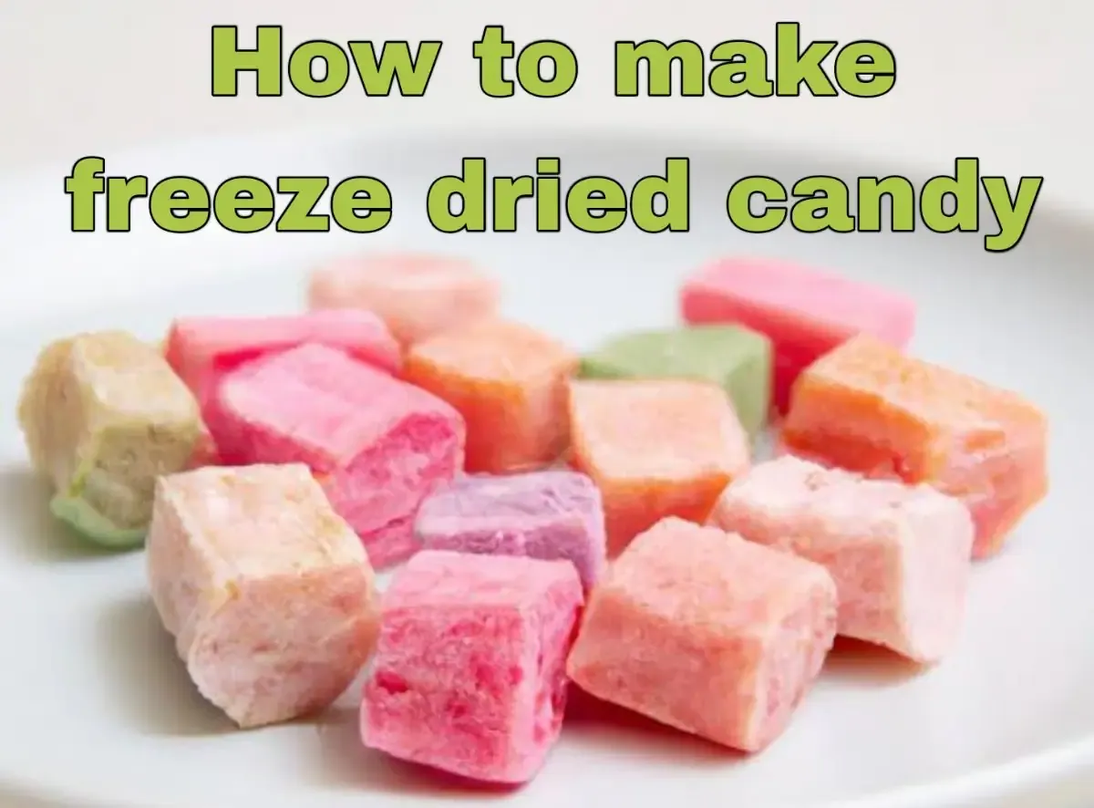 How to make freeze dried candy