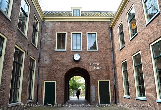 Glória Ishizaka - Hortus Botanicus Leiden - 1