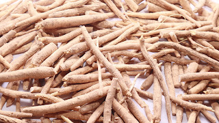 Ashwagandha Kökleri