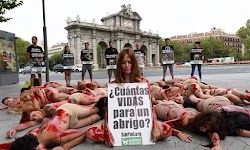  Διαμαρτυρία στο κέντρο της Μαδρίτης διοργάνωσαν ακτιβιστές για τα δικαιώματα των ζώων. Αφορμή στάθηκε η ανακοίνωση αμερικανών επιστημόνων π...