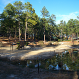 View album