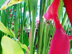 Image014
