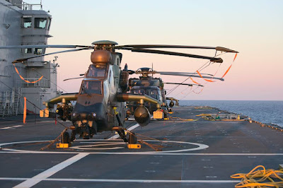 French Navy Army Cormoran exercise