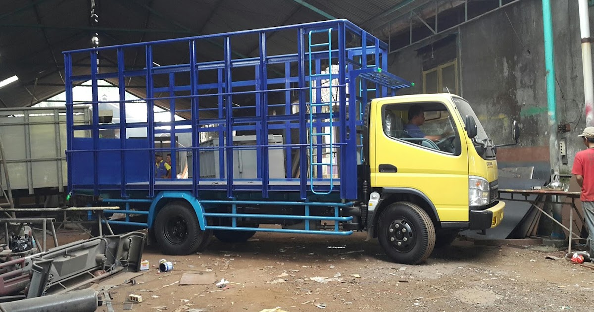 Nasikin Variasi  Bak truk  ayam 