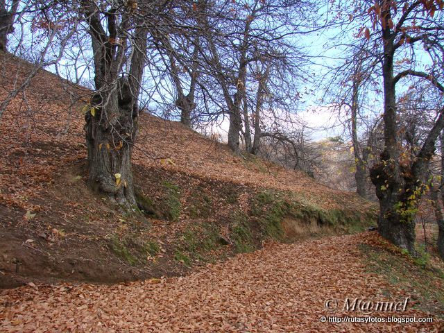 Castañares de Pujerra e Igualeja