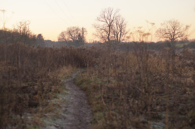 sunset on a frosty winter day in the countryside in Norfolk