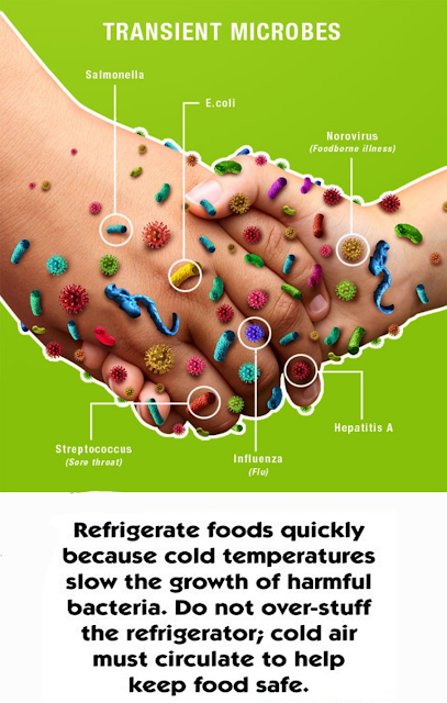 Microbes in human welfare Microbes in human welfare