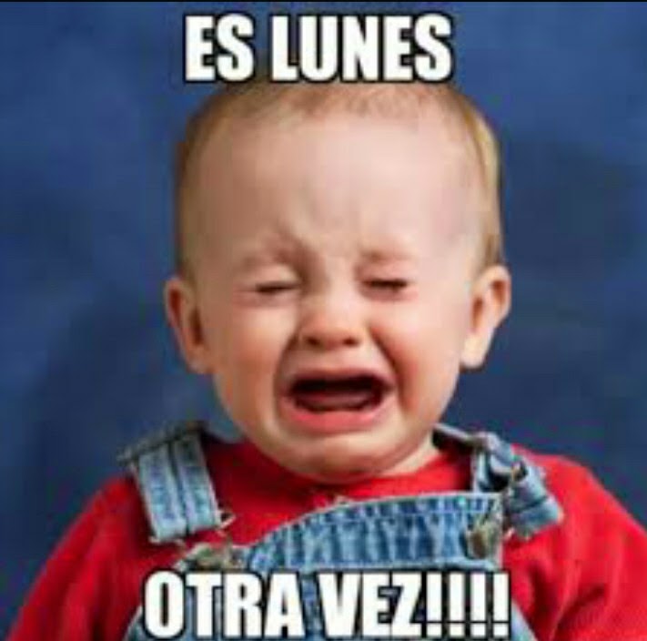 Imagenes chistosas de los lunes para descargar