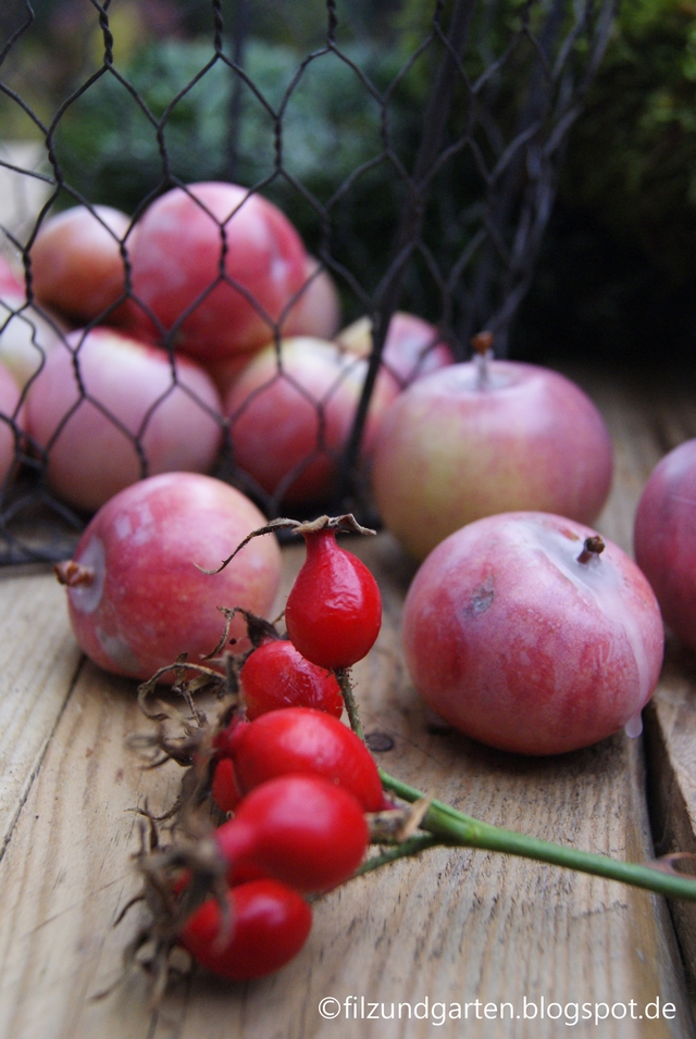 DIY - Wachsäpfel