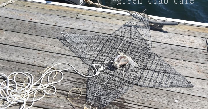 Green Crab Cafe: How to Modify a Crab Trap
