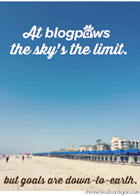 beachfront/resort scene with big sky and sand, BlogPaws logo/caption