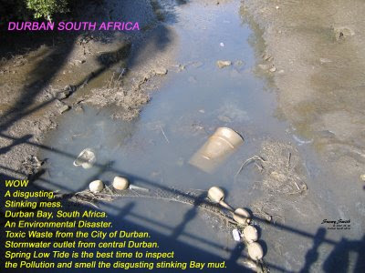 water pollution photos - South Africa