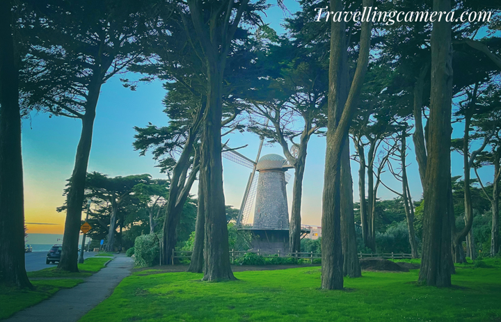 Nestled within the verdant embrace of Golden Gate Park, the Dutch Windmill stands as a timeless testament to both engineering marvels and the enduring beauty of cultural symbolism. This iconic structure, a gift from the Netherlands to San Francisco, not only graces the park's landscape with its majestic presence but also serves as a captivating glimpse into the city's rich history. Join us on a journey as we unravel the story of the Dutch Windmill, a beacon of old-world charm amidst the vibrant greenery of Golden Gate Park.