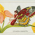 Butterfly & Moth Girls - cigarette cards - part 1