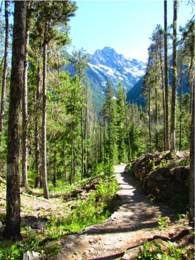 HikeThunderKnobTrail-2-2014-06-28-20-30.jpg