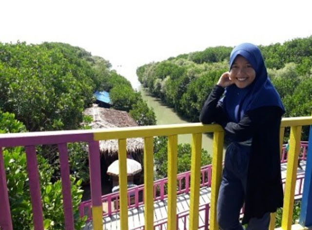 Harga Tiket Masuk Hutan Mangrove Pandansari Brebes Terbaru