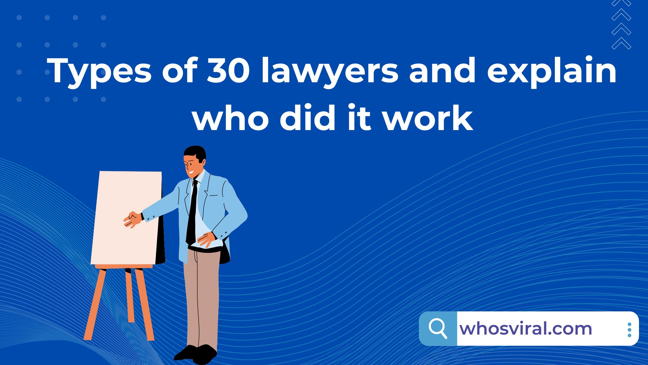 Types of 30 lawyers and explain who did it work