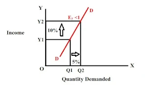 income-elasticity-for-necessary-goods