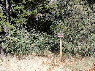 Trail sign with an arrow on it