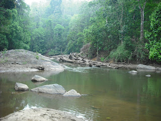 வனவலம் (Trekking) - நூல்விமர்சனம்