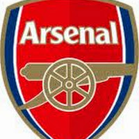 Ameobi suffers defeat at Emirates as Arsenal whips Newcastle