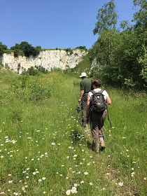 Riddlesdown Quarry, 9 June 2016.