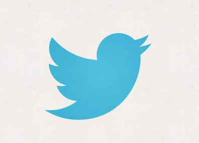 new twitter bird