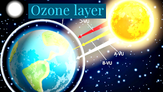 Ozone Day কিয় পালন কৰা হয়?