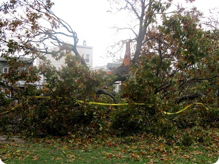 NYC Damage from Hurricane Sandy