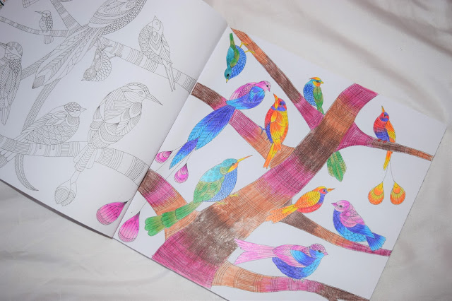 Millie Marotta's Tropical Wonderland Colouring Book