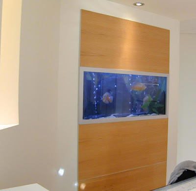 fish aquarium design