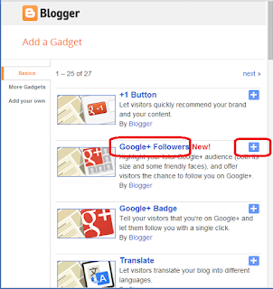 Google + Followers Click