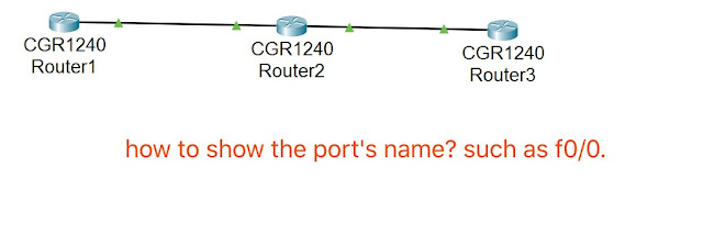 كيف يمكن لـ Cisco Packet Tracer إظهار اسم المنفذ؟