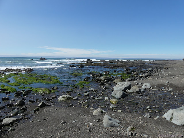 rocky beach and fresh water hitting the salt