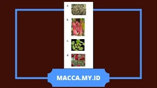 Soal Tematik Kelas 6 Tema 2 Subtema 1 dan Kunci Jawaban