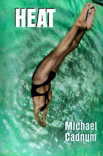 Cover of Heat by Michael Cadnum